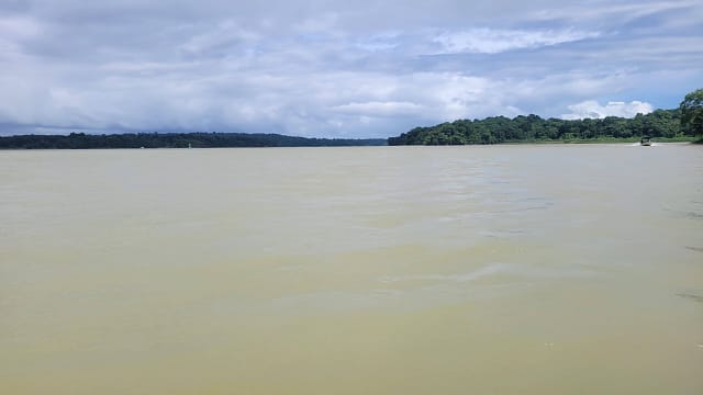 Lake Gatun Panama toward Barro Colorado Island