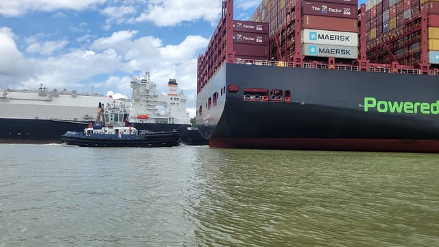 Neo Panamax Ships on Lake Gatun