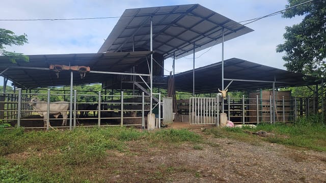Cattle Ranch