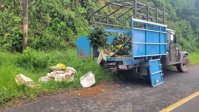 Coffee Plantation Workers