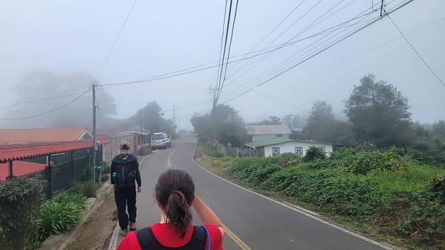 Foggy Hike through El Cedral