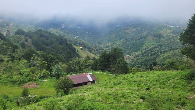 Farm and View
