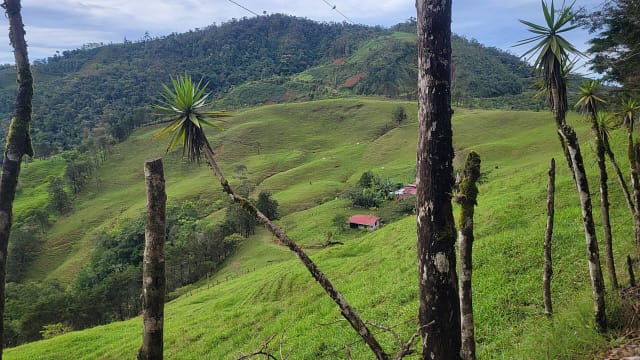Mountain Farm Near Chilamate