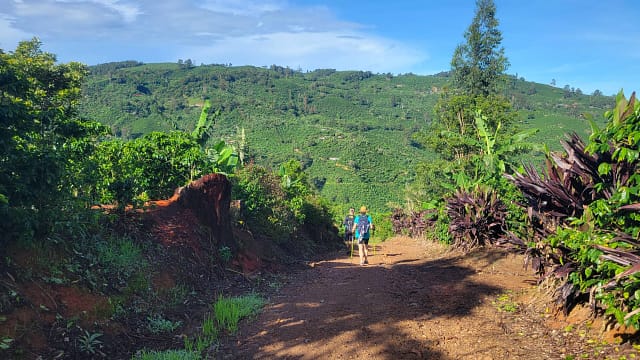 Surrounded by Coffee South of San Pablo
