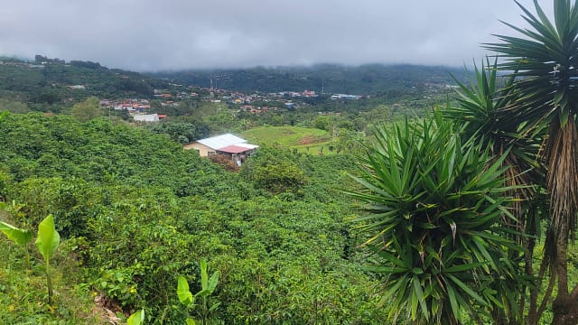 View into Santa Cecilia