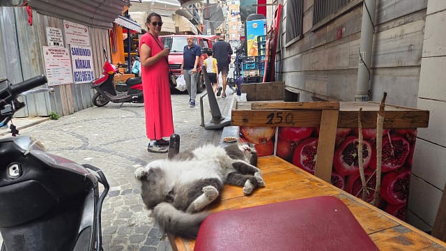 Sprawled out in Fener