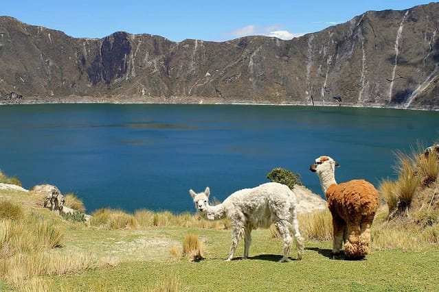 Quilotoa Loop seems to be the go-to long distance hike in Ecuador aside from climbing active volcanos.